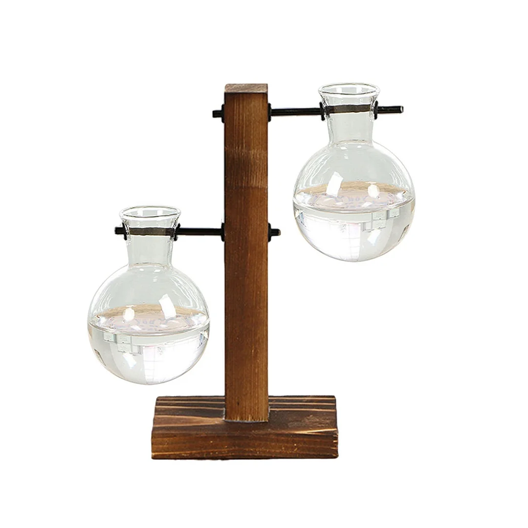 Desktop Glass Plant Vase Glass Planter Bulb Pot Flower Holder Desktop Plant Terrarium With Wood Stand Plants Home Office Decor