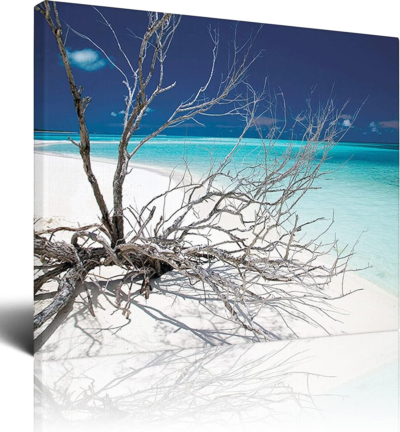 Driftwood Canvas Wall-Art for Bedroom,Driftwood on The White Sandy Beach,Abstract Painting Pop Art Wall Decor Modern Home Office Decor Framed Ready to Hang,Blue - 16x24 Inch 16x24 Inch