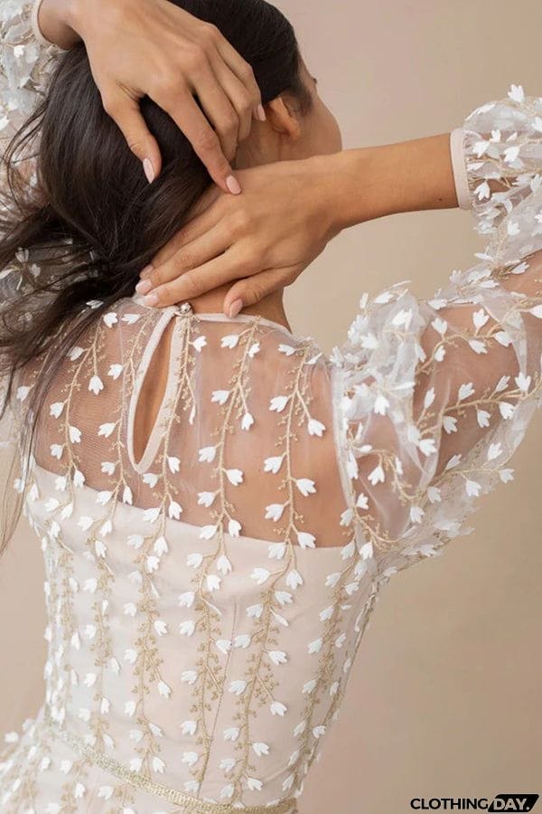 Floral Passions Embroidered Sheer balloon sleeve Fitted Midi Dress