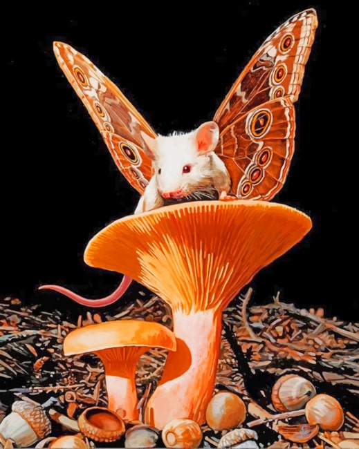 

White Butterfly Mouse – Paint By Numbers - 40*50CM, 501 Original
