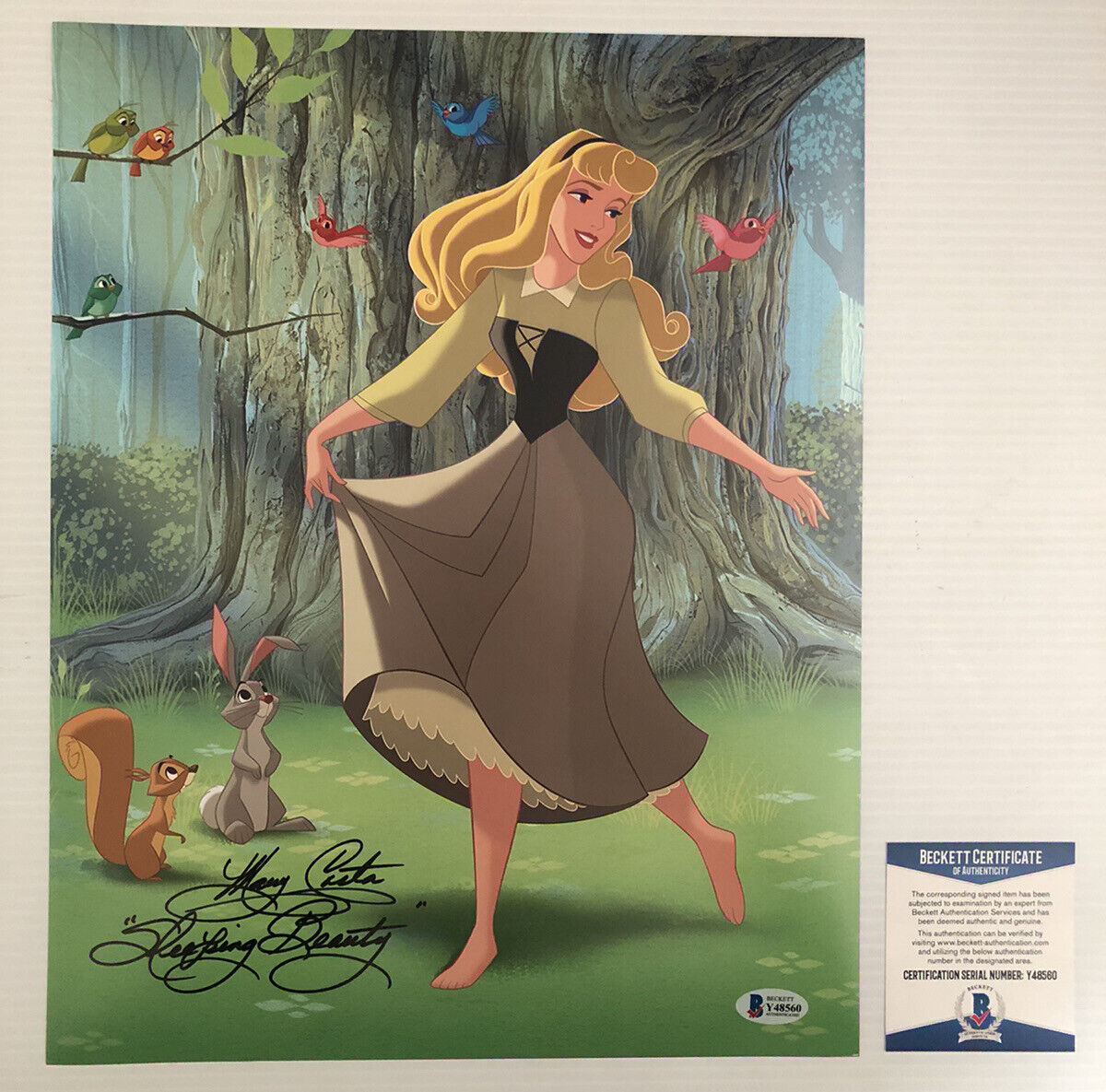 Mary Costa Signed Autographed 11x14 Photo Poster painting Sleeping Beauty Disney Beckett COA