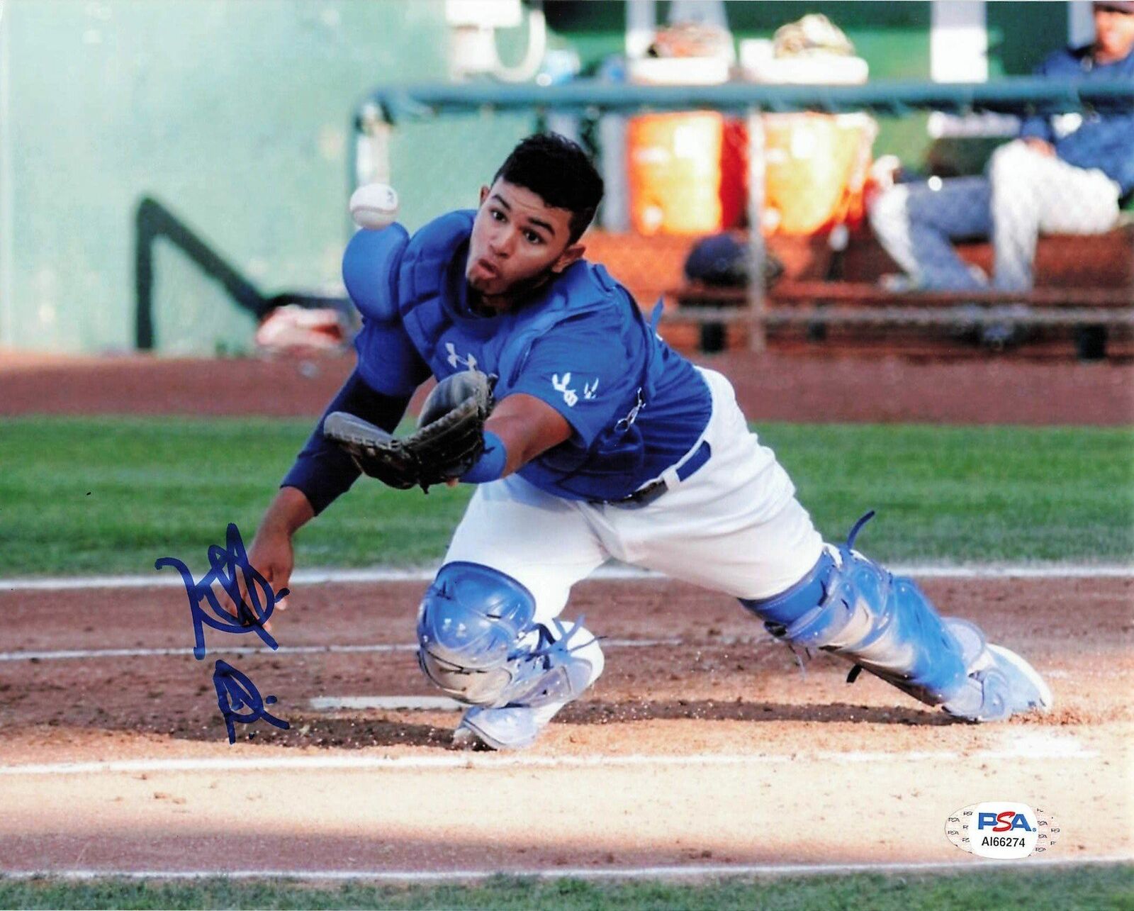 Keibert Ruiz signed 8x10 Photo Poster painting PSA/DNA Autographed Washington Nationals