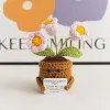 (Finished Product)Crochet Flower Potted Doll with Positive Card Desktop Ornaments, Potted Plants, Bouquets Gift Home Decor