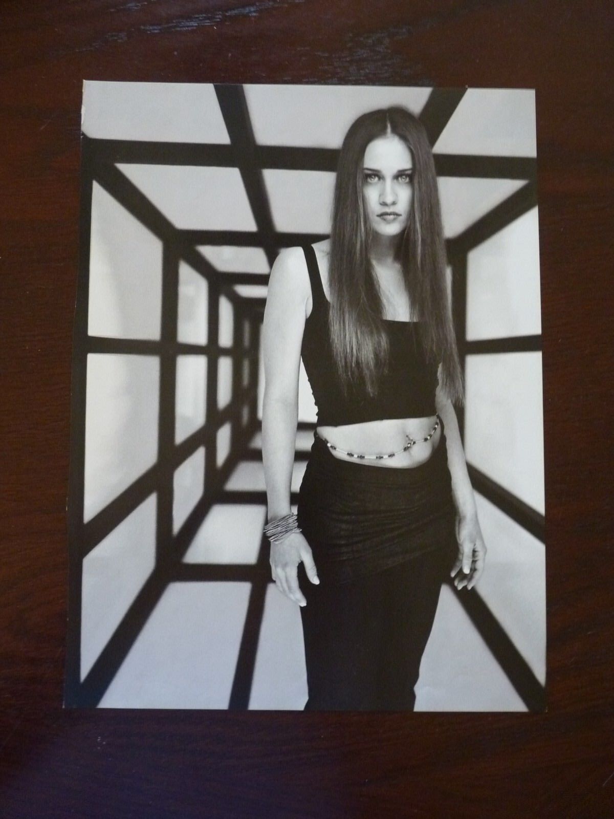 Fiona Apple DMX Double Sided Coffee Table Book Photo Poster painting Page 9x13