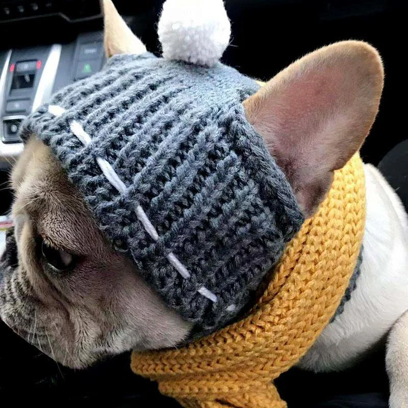 Winter Woolen Dog Hat