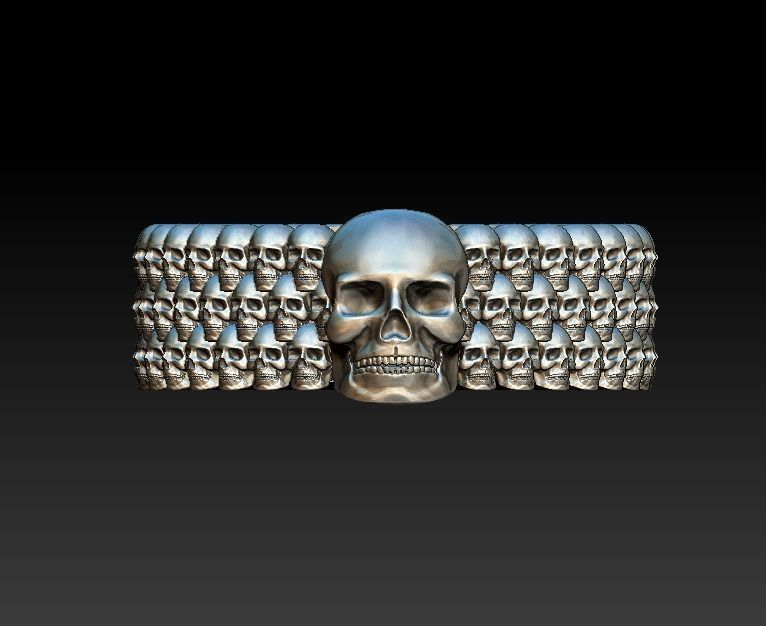 Stainless Steel Skull Punk Style Ring