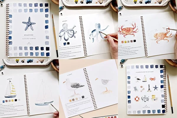 Emily Lex Watercolor Workbook