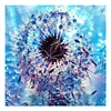 Dandelion - Full Round Drill Diamond Painting