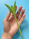 Rose Napkin Holders Plastic Handcraft Flower Napkin Rings Set Table Decorations for Wedding Luncheons Picnics Banquet Birthday