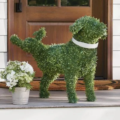 Faux Boxwood Garden Dog, Peabody | Grandin Road