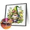 Peinture diamant diamant gnome rond-30*30cm