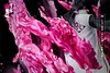 1/6 Scale Quincy Blood War Byakuya Kuchiki - Bleach Resin Statue - YM Studios [Pre-Order]
