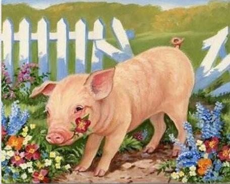 

Pig In Garden – Paint By Numbers - 40*50CM, 501 Original