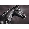Horse - Vintage Metal Signs - 30*40cm - Western&Farm