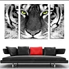 Tiger  | Full Round Diamond Painting Kits