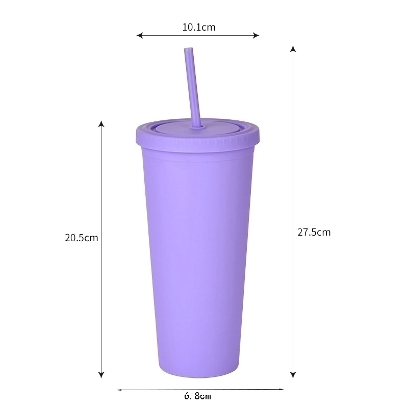 Double-layer Plastic Straw Cup With Lid 24oz Large-capacity Plastic Frosted Ready-to-hand Water Cup
