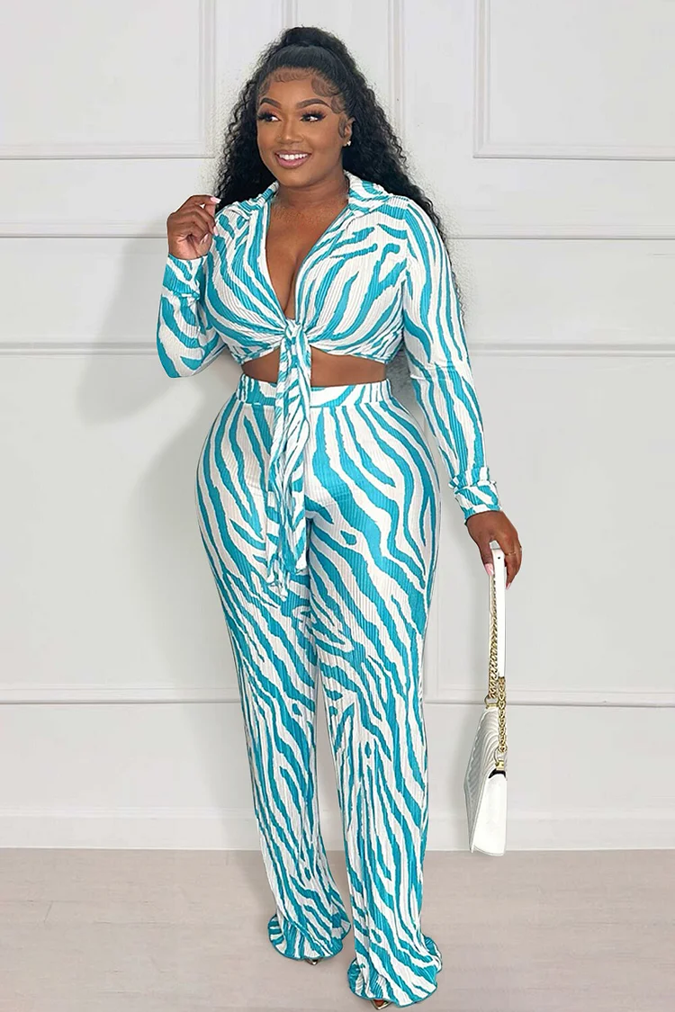 Zebra Print Long Sleeve Tie Up Crop Blouse High Waist Pants 2pcs Set-Orange