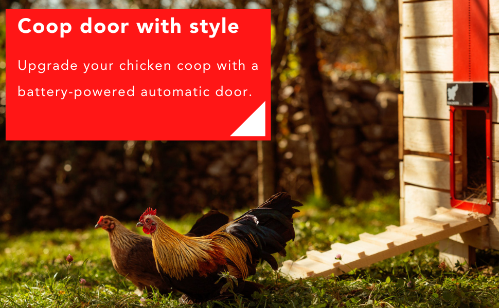 Stylish. Upgrade your chicken coop with battery-powered automatic red door.Waterproof, light-timer.