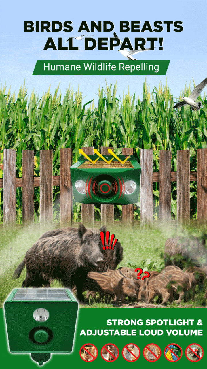 Beast Repellent Solar Warning Lights with Loud Volume