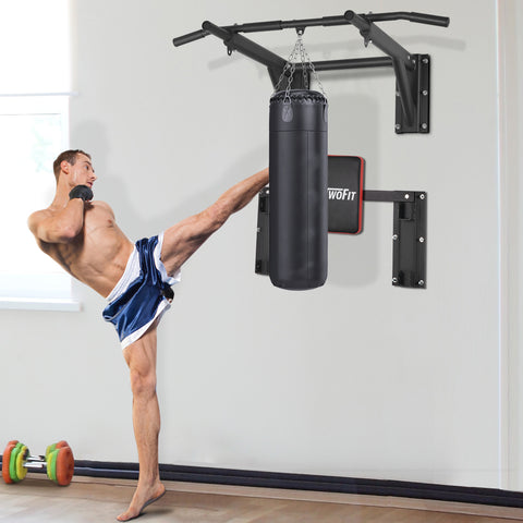 pull up bar and punching bag