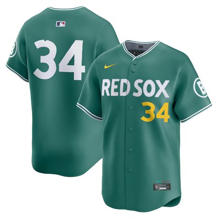 Youth Boston Red Sox #34 David Ortiz  Green 2025 City Connect Limited Retired Player Jersey