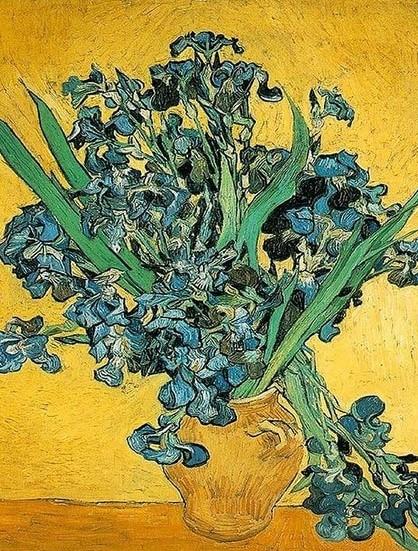 

Irises Flower Vincent Van Gogh – Paint By Numbers - 40*50CM, 501 Original