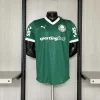 2025-2026 Player  Palmeiras Home All Sponsor Football Shirt 1:1 Thai Quality
