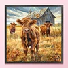 (US Only)Cattle Printed Cross Stitch Kit 40x40cm DIY 14CT Thread Art Needlework Decor