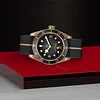 Tudor Black Bay Bronze