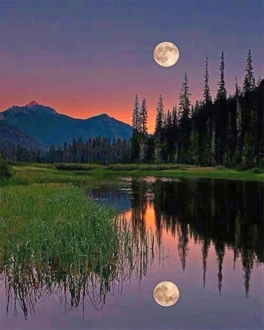 

Beautiful Moon Reflect – Paint By Numbers - 40*50CM, 501 Original