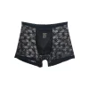Men's High-End SatinSeamless Breathable Antibacterial Large Size Lace Mesh Boxer Briefs