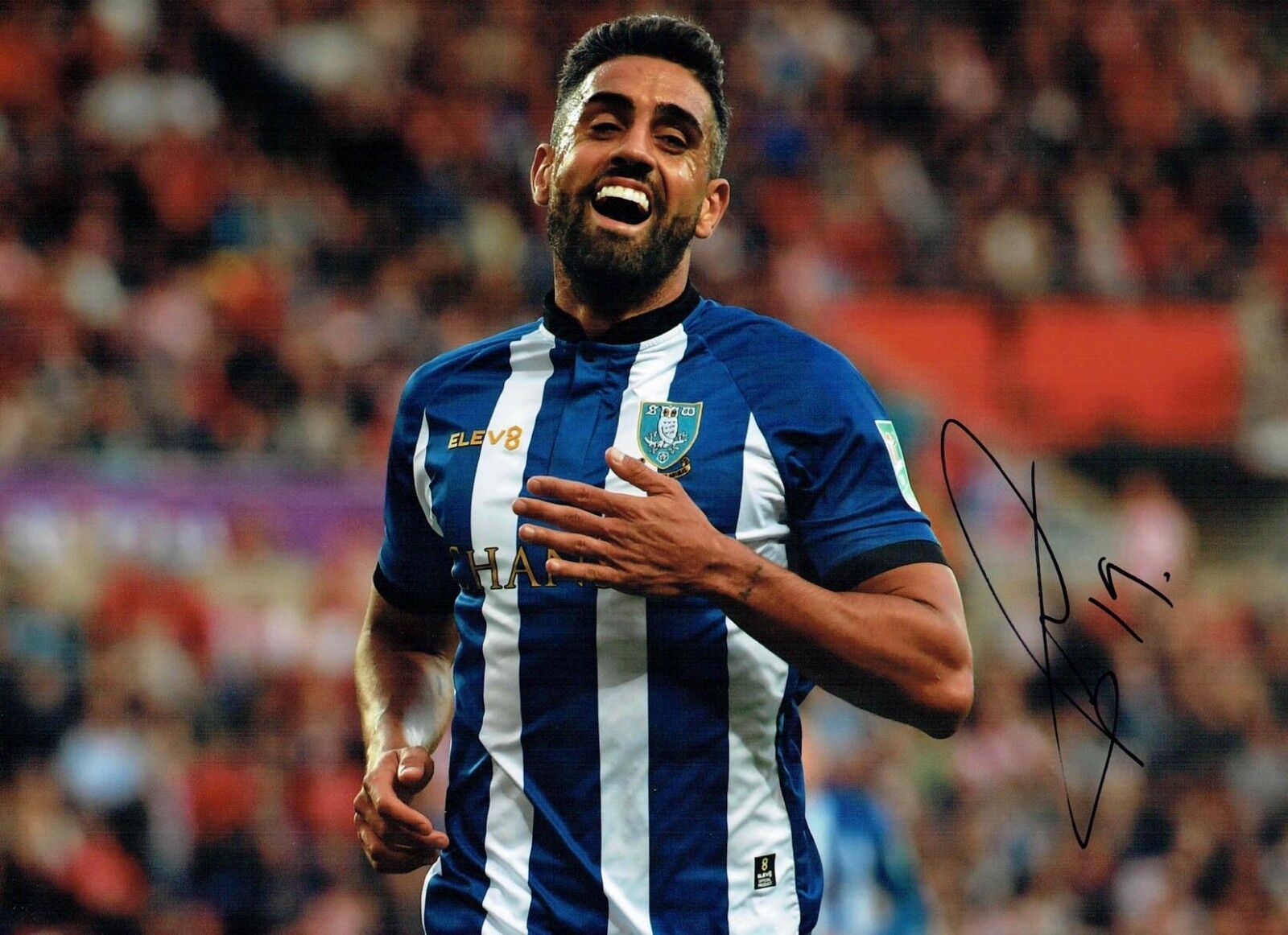 Marco MATIAS Sheffield Wednesday SIGNED 16x12 Autograph Photo Poster painting 1 AFTAL COA