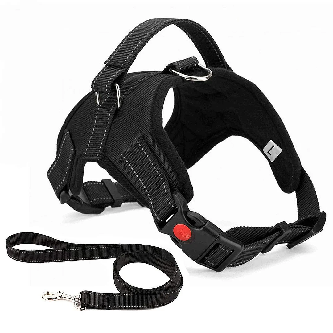 Dog Harness No Pull with Leash Lead Set