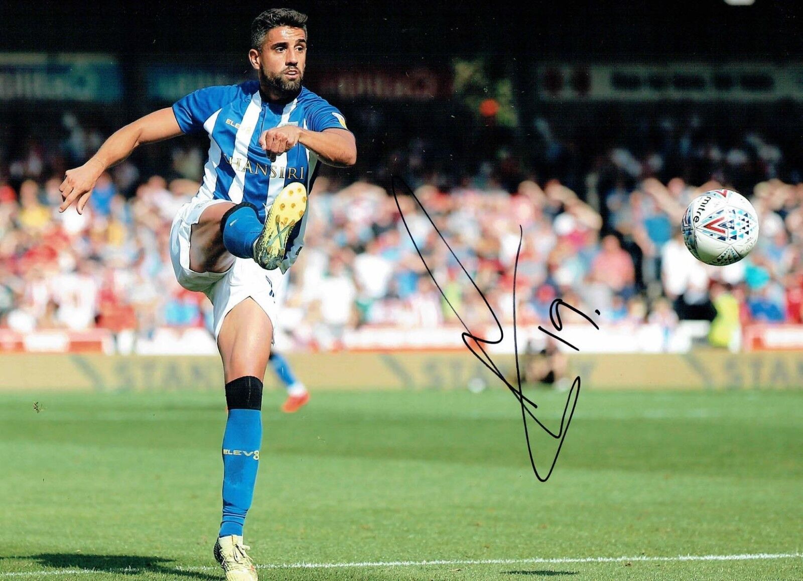 Marco MATIAS Sheffield Wednesday SIGNED 16x12 Autograph Photo Poster painting 2 AFTAL COA