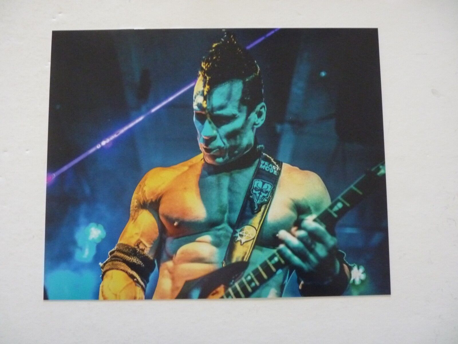 Doyle Wolfgang Von Frankenstein Misfits 8x10 Color Promo Photo Poster painting