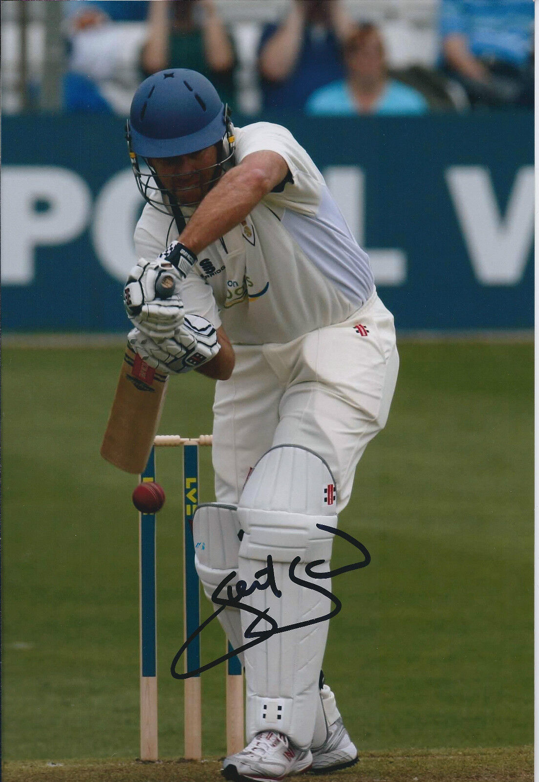 Stuart LAW Signed Autograph 12x8 Photo Poster painting AFTAL COA CRICKET AUSTRALIA