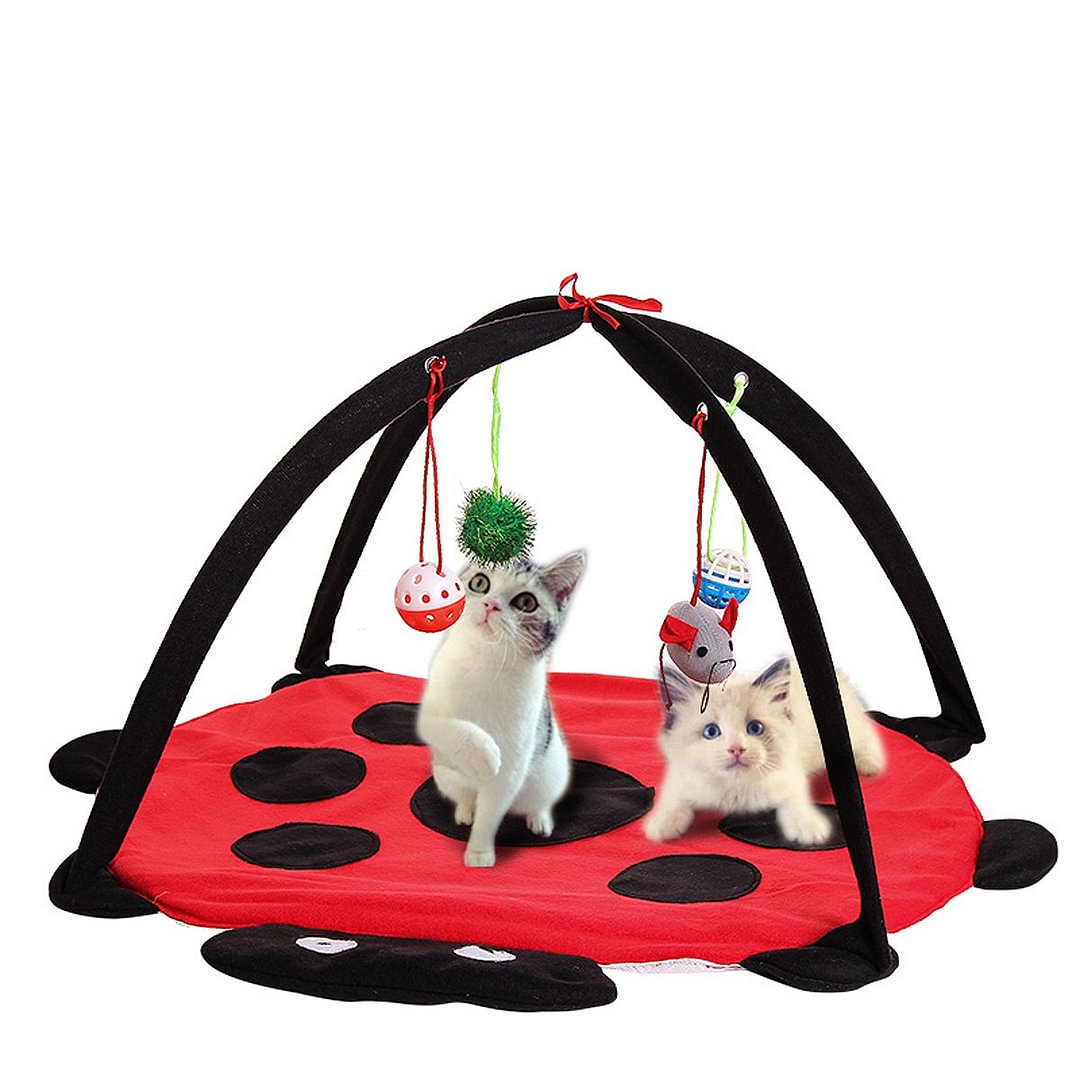 Cat Activity Tent With Mouse, Balls, and Bells