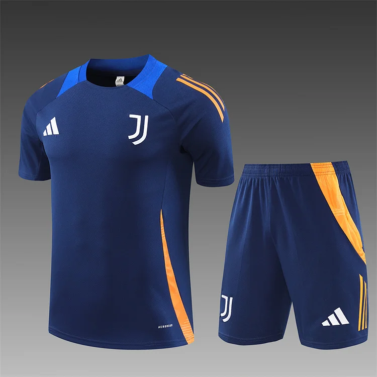 2024-25 Juventus Royal Blue Short Sleeve Training Jersey