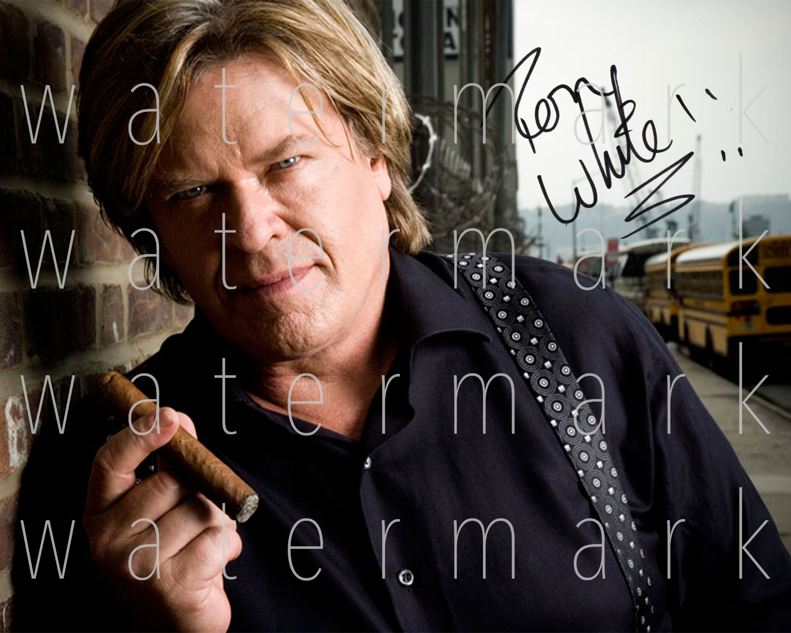 Ron White Blue Collar signed 8X10 print Photo Poster painting poster picture autograph RP