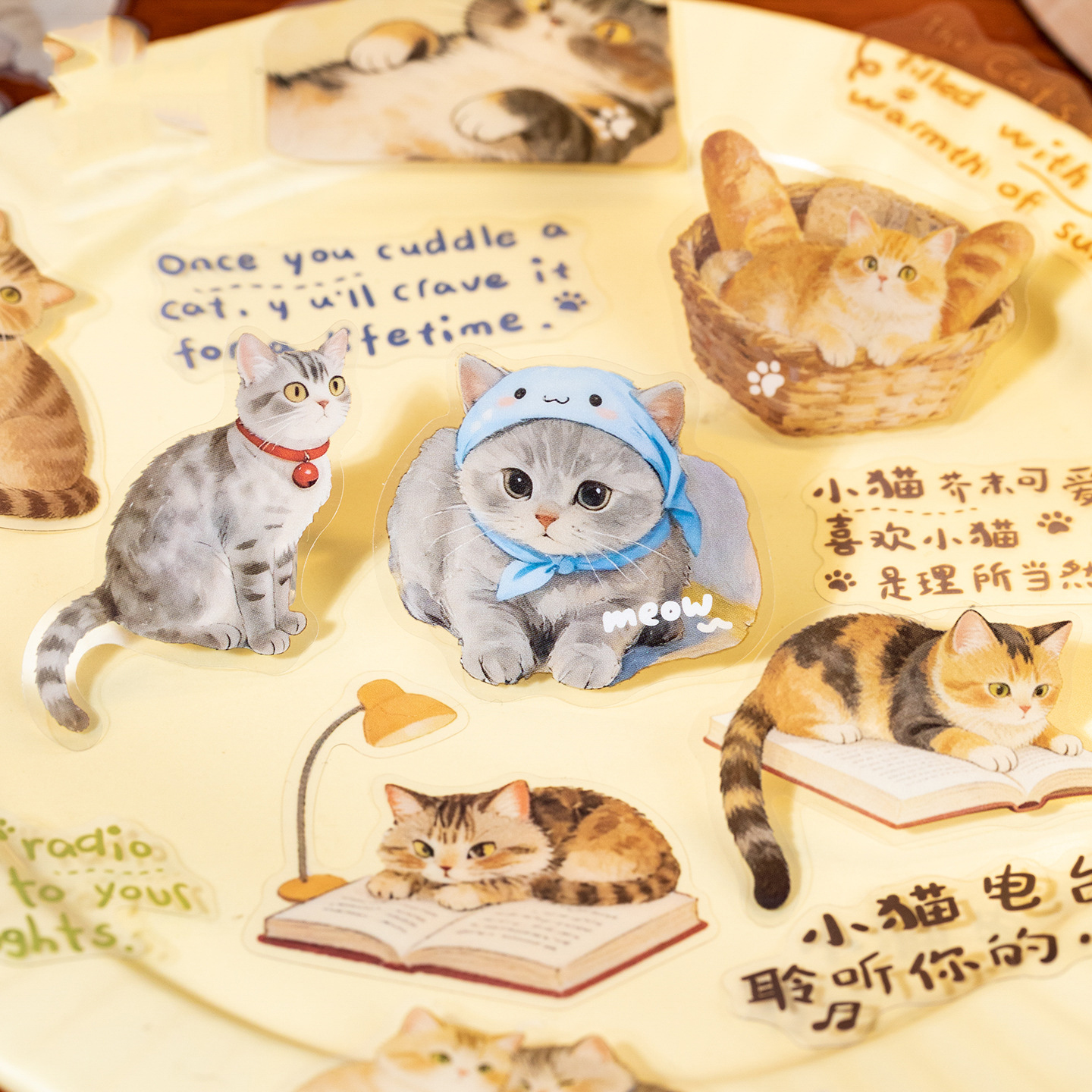 PET 스티커 - 고양이 일기 시리즈 귀여운 고양이