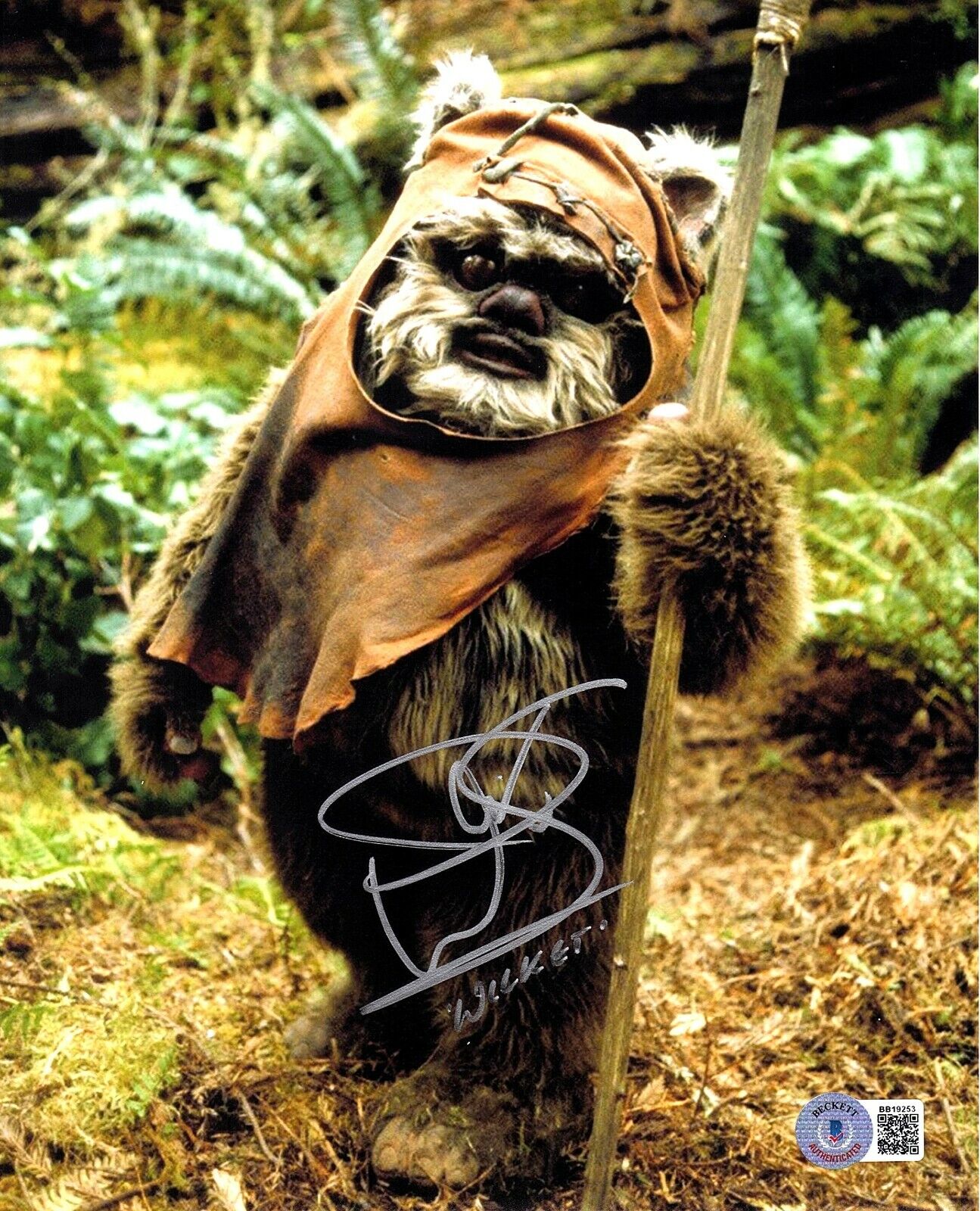 WARWICK DAVIS Signed Autograph Star Wars Wicket