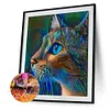 uk.everydayedeals (Limited Stock)Diamond Painting - Full Square - Blue Cat