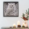 Snow Glow Owl -Special Shaped Diamond Painting