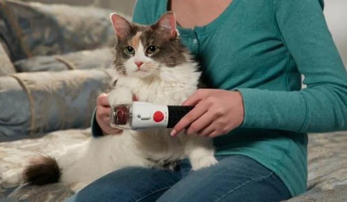 pet nail trimmer