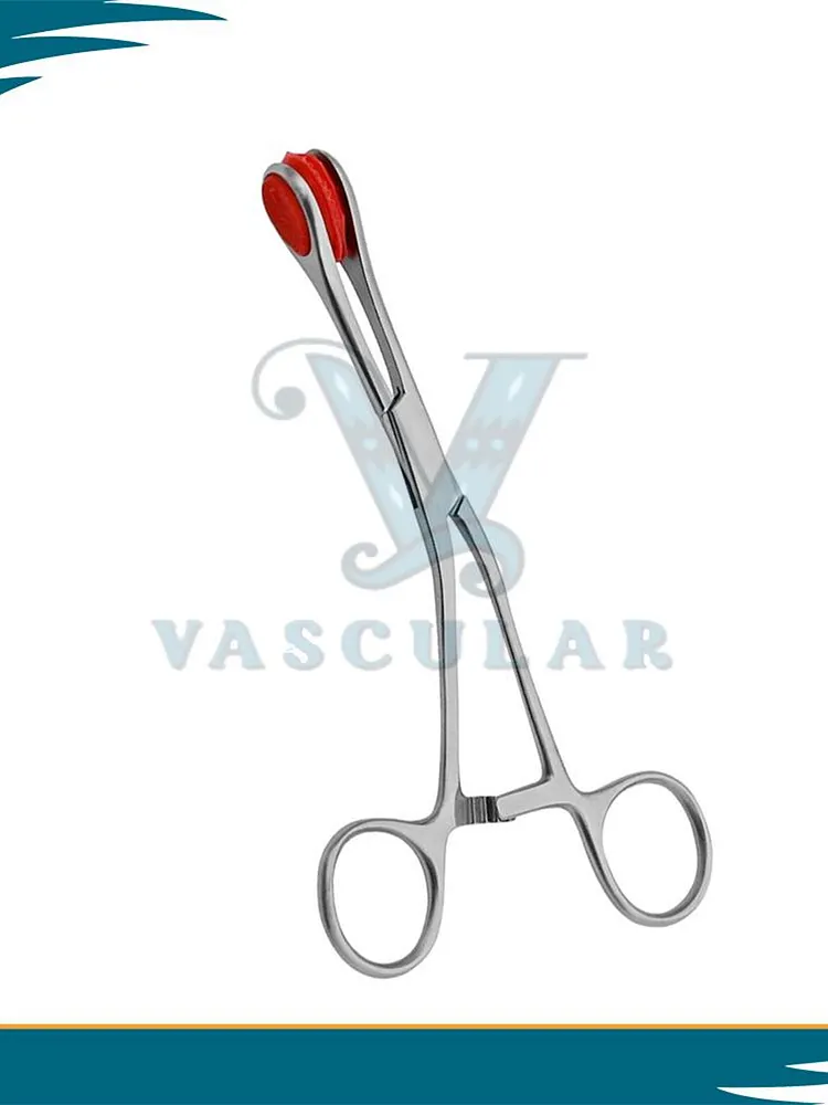 pornhint Pornhint Collings Surgical Tongue Forceps ? 17cm Reusable Stainless Steel Tool for Medical Use electro shock kit stim stainless steel plug