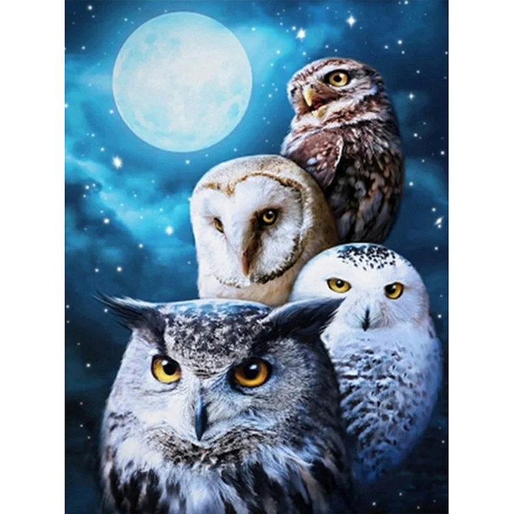 30*40CM  Diamond Painting Owl Animals s