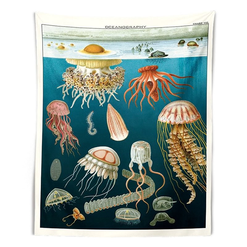 Vintage oceanography Illustration Tapestry Wall HangingRoom Decoration Aesthetic Illustrated Wall Decor Antique Wall Art