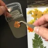 Dried Flower Bookmarks