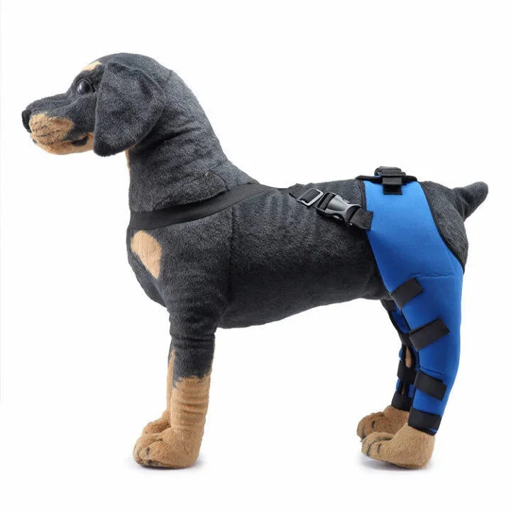 Double Dog Hip Brace with Safety Reflective Straps - Dog Hip Support ...