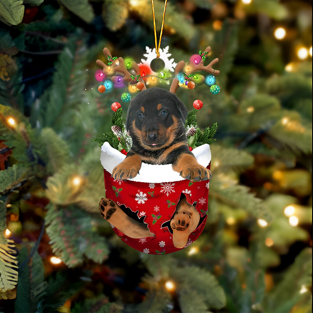 Beauceron In Snow Pocket Christmas Ornament.